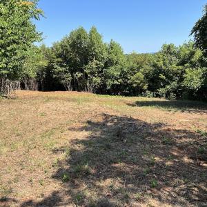 Photo #34 of 05 Seven Island Road, Danbury, NC 40.3 acres