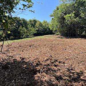 Photo #35 of 05 Seven Island Road, Danbury, NC 40.3 acres