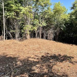 Photo #36 of 05 Seven Island Road, Danbury, NC 40.3 acres