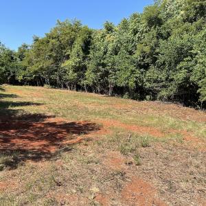 Photo #37 of 05 Seven Island Road, Danbury, NC 40.3 acres
