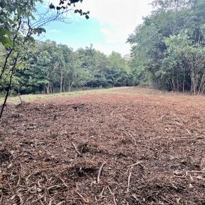 Photo #38 of 05 Seven Island Road, Danbury, NC 40.3 acres