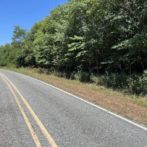 Photo #39 of 05 Seven Island Road, Danbury, NC 40.3 acres