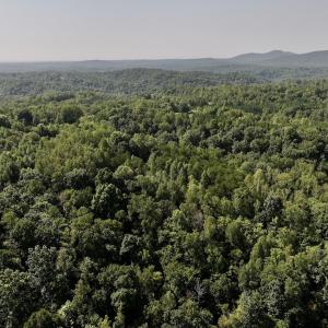 Photo #5 of 05 Seven Island Road, Danbury, NC 40.3 acres