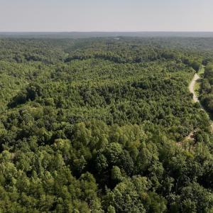 Photo #6 of 05 Seven Island Road, Danbury, NC 40.3 acres
