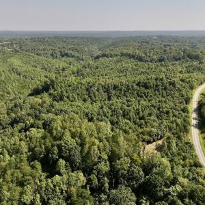Photo #7 of 05 Seven Island Road, Danbury, NC 40.3 acres
