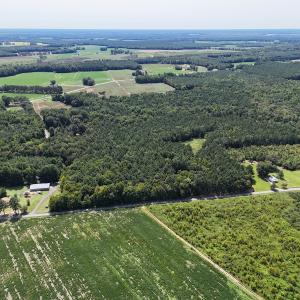 Photo #4 of SOLD property in 34675 Sandy Ridge Road, Franklin, VA 35.5 acres