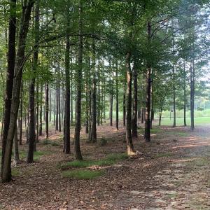 Photo #32 of SOLD property in 34675 Sandy Ridge Road, Franklin, VA 35.5 acres