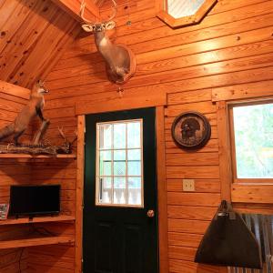 Photo #13 of SOLD property in 34675 Sandy Ridge Road, Franklin, VA 35.5 acres