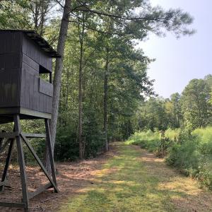 Photo #46 of SOLD property in 34675 Sandy Ridge Road, Franklin, VA 35.5 acres