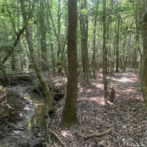 Photo #48 of SOLD property in 34675 Sandy Ridge Road, Franklin, VA 35.5 acres