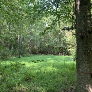 Photo #50 of SOLD property in 34675 Sandy Ridge Road, Franklin, VA 35.5 acres