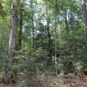 Photo #51 of SOLD property in 34675 Sandy Ridge Road, Franklin, VA 35.5 acres