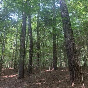 Photo #52 of SOLD property in 34675 Sandy Ridge Road, Franklin, VA 35.5 acres