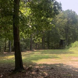 Photo #53 of SOLD property in 34675 Sandy Ridge Road, Franklin, VA 35.5 acres