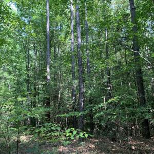 Photo #54 of SOLD property in 34675 Sandy Ridge Road, Franklin, VA 35.5 acres