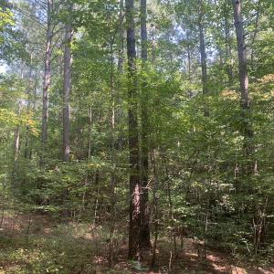 Photo #55 of SOLD property in 34675 Sandy Ridge Road, Franklin, VA 35.5 acres