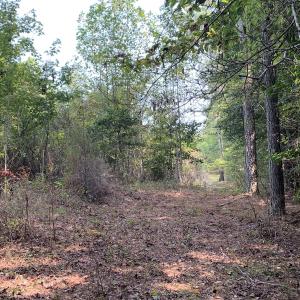 Photo #56 of SOLD property in 34675 Sandy Ridge Road, Franklin, VA 35.5 acres
