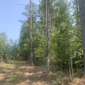 Photo #57 of SOLD property in 34675 Sandy Ridge Road, Franklin, VA 35.5 acres