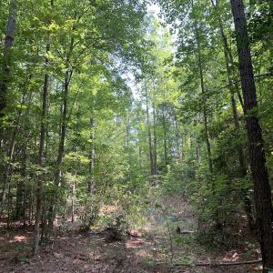 Photo #58 of SOLD property in 34675 Sandy Ridge Road, Franklin, VA 35.5 acres