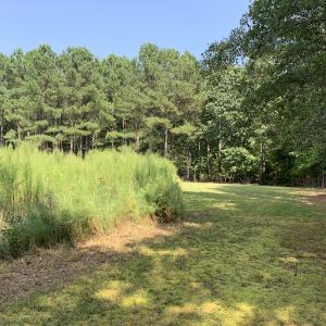 Photo #60 of SOLD property in 34675 Sandy Ridge Road, Franklin, VA 35.5 acres