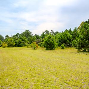 Photo #14 of SOLD property in John Nunnery Rd., Stedman, NC 6.0 acres