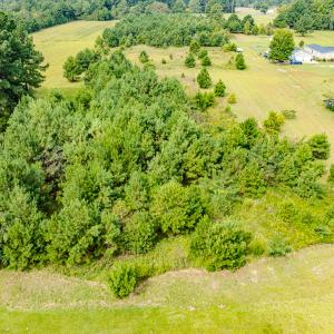 Photo #15 of SOLD property in John Nunnery Rd., Stedman, NC 6.0 acres