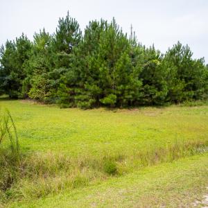 Photo #16 of SOLD property in John Nunnery Rd., Stedman, NC 6.0 acres