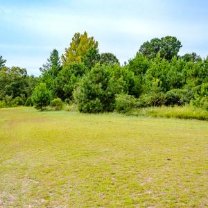 Photo #18 of SOLD property in John Nunnery Rd., Stedman, NC 6.0 acres