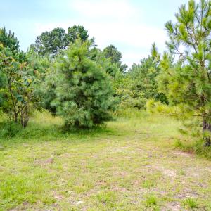 Photo #19 of SOLD property in John Nunnery Rd., Stedman, NC 6.0 acres