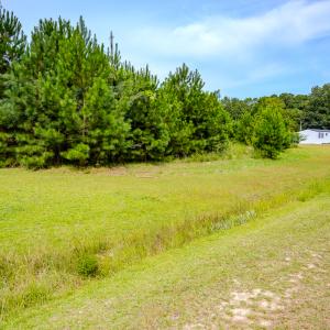 Photo #6 of SOLD property in John Nunnery Rd., Stedman, NC 6.0 acres