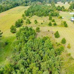 Photo #8 of SOLD property in John Nunnery Rd., Stedman, NC 6.0 acres