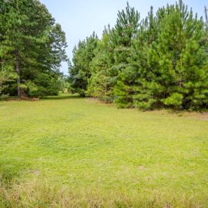 Photo #9 of SOLD property in John Nunnery Rd., Stedman, NC 6.0 acres