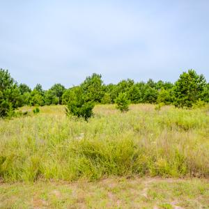 Photo #10 of SOLD property in John Nunnery Rd., Stedman, NC 6.0 acres