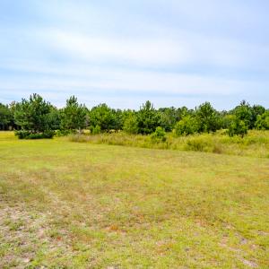 Photo #11 of SOLD property in John Nunnery Rd., Stedman, NC 6.0 acres