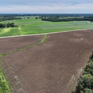 Photo #12 of SOLD property in Off Whaley Road, Kinston, NC 27.4 acres