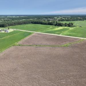 Photo #13 of SOLD property in Off Whaley Road, Kinston, NC 27.4 acres