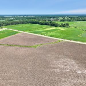 Photo #14 of SOLD property in Off Whaley Road, Kinston, NC 27.4 acres