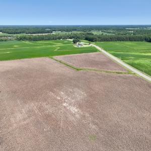 Photo #15 of SOLD property in Off Whaley Road, Kinston, NC 27.4 acres