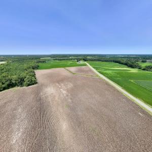 Photo #16 of SOLD property in Off Whaley Road, Kinston, NC 27.4 acres