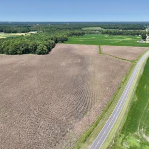 Photo #3 of SOLD property in Off Whaley Road, Kinston, NC 27.4 acres