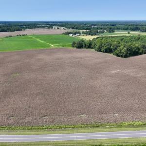 Photo #5 of SOLD property in Off Whaley Road, Kinston, NC 27.4 acres