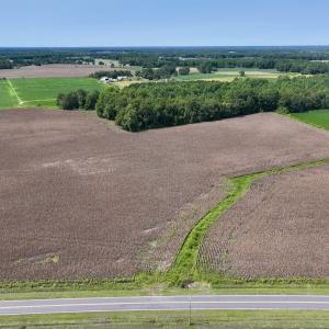 Photo #6 of SOLD property in Off Whaley Road, Kinston, NC 27.4 acres