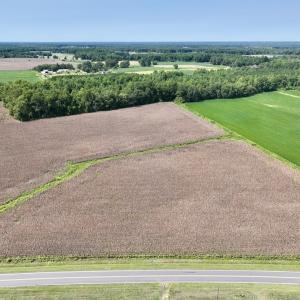 Photo #7 of SOLD property in Off Whaley Road, Kinston, NC 27.4 acres