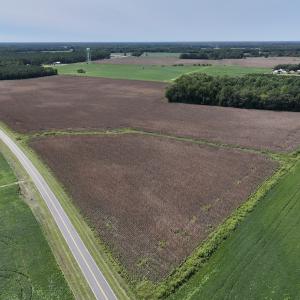 Photo #8 of SOLD property in Off Whaley Road, Kinston, NC 27.4 acres