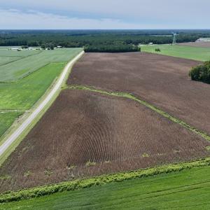 Photo #9 of SOLD property in Off Whaley Road, Kinston, NC 27.4 acres