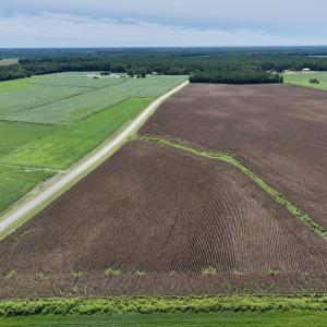 Photo #10 of SOLD property in Off Whaley Road, Kinston, NC 27.4 acres