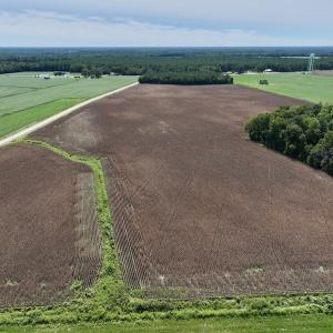 Photo #11 of SOLD property in Off Whaley Road, Kinston, NC 27.4 acres