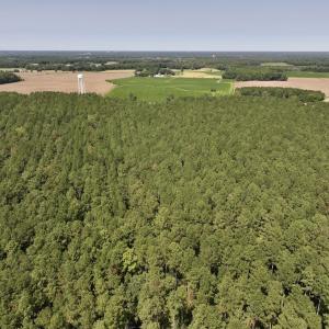 Photo #10 of SOLD property in Off Elijah Loftin Road, Kinston, NC 71.7 acres
