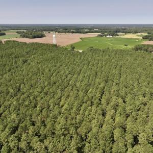 Photo #12 of SOLD property in Off Elijah Loftin Road, Kinston, NC 71.7 acres