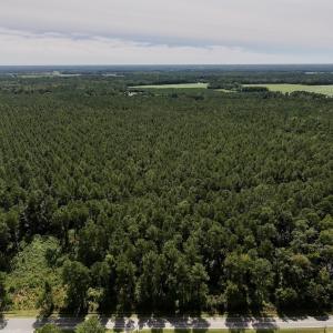 Photo #17 of SOLD property in Off Elijah Loftin Road, Kinston, NC 71.7 acres